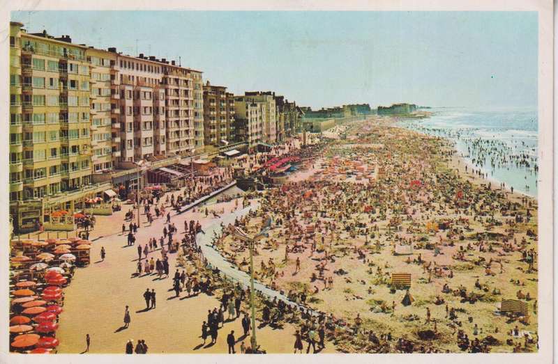 Post Cards / Maxi Card