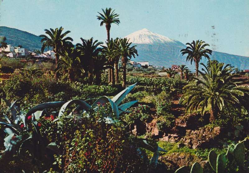 Post Cards / Maxi Card