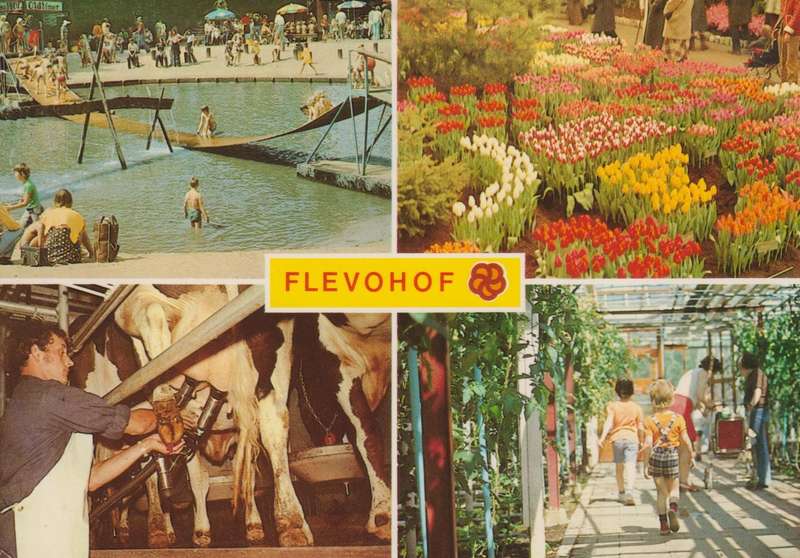 Post Cards / Maxi Card