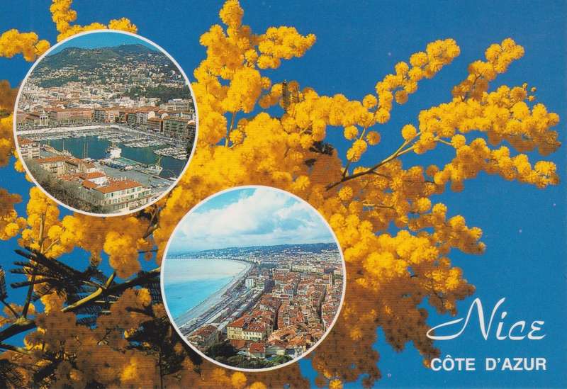 Post Cards / Maxi Card