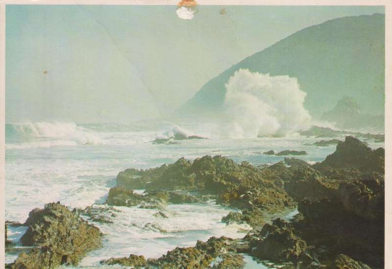 Post Cards / Maxi Card