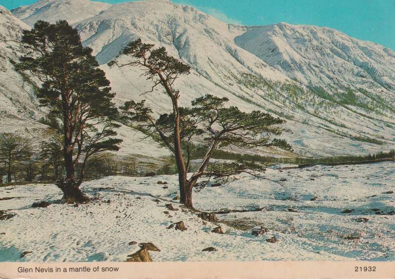 Post Cards / Maxi Card