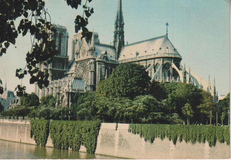 Post Cards / Maxi Card