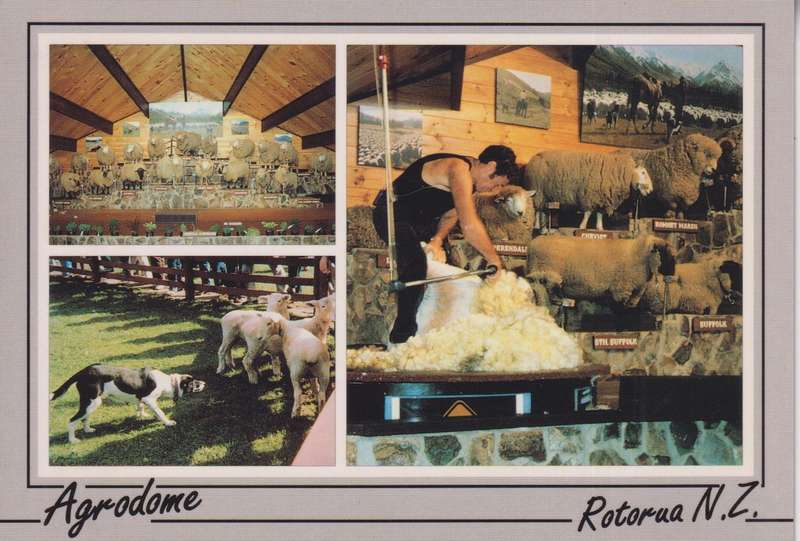 Post Cards / Maxi Card