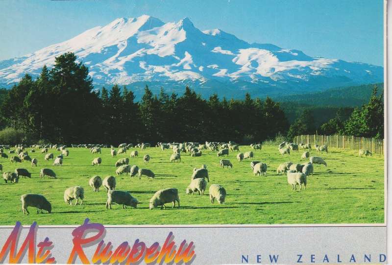 Post Cards / Maxi Card