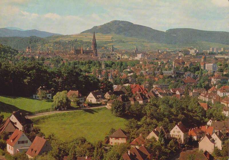 Post Cards / Maxi Card