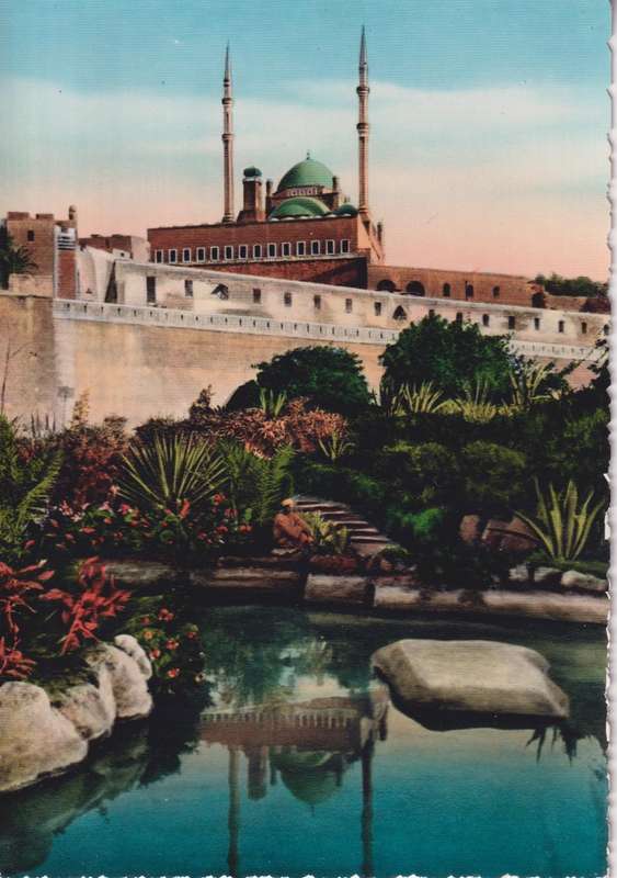 Post Cards / Maxi Card