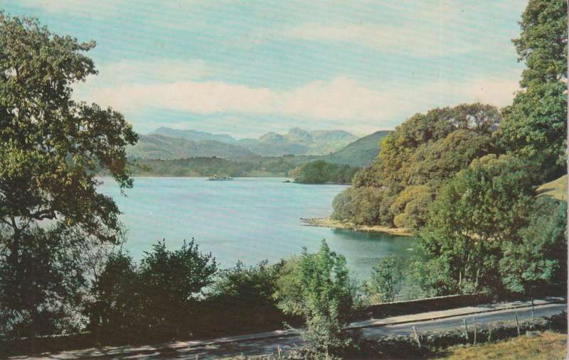 Post Cards / Maxi Card