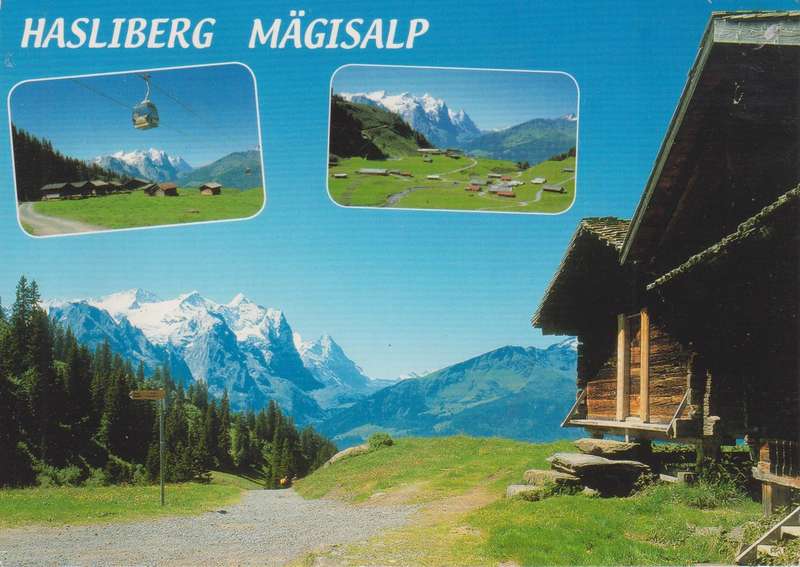 Post Cards / Maxi Card