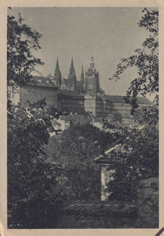 Post Cards / Maxi Card not used