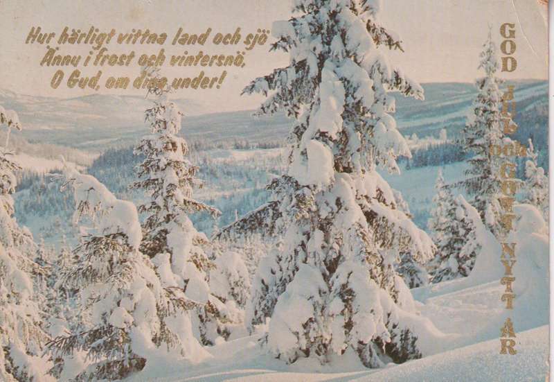 Post Cards / Maxi Card not used