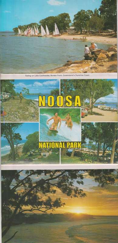 Post Cards / Maxi Card not used
