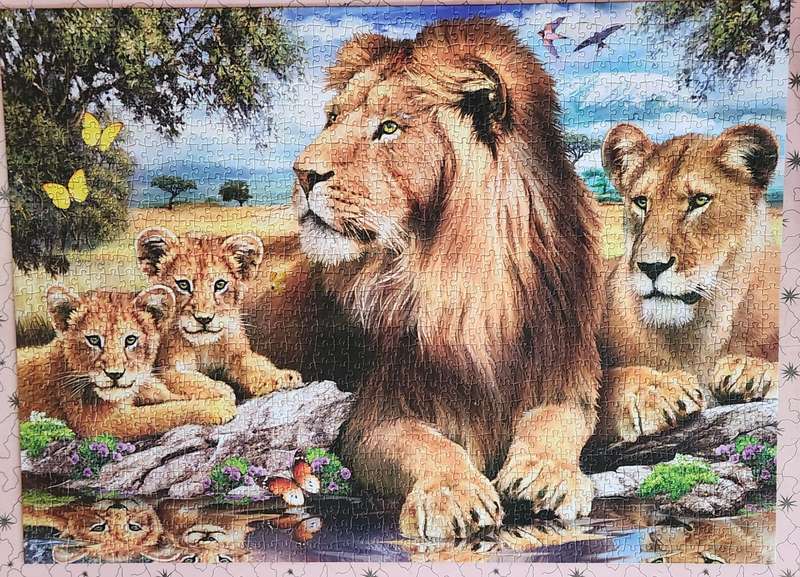 Puzzle - Lions