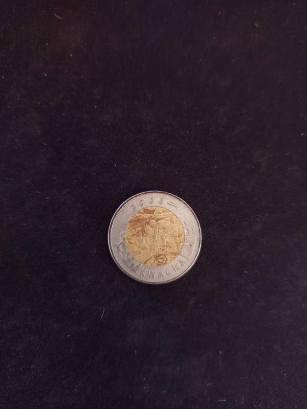 Coin Collection
