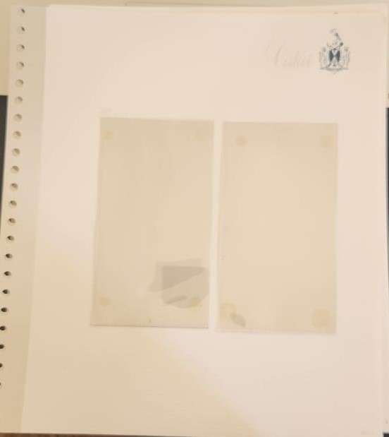 Stamp Collection Davo Pages Ciskei (Preprinted pages no stamps included)