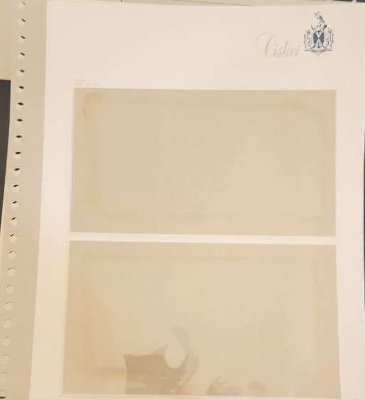 Stamp Collection Davo Pages Ciskei (Preprinted pages no stamps included)