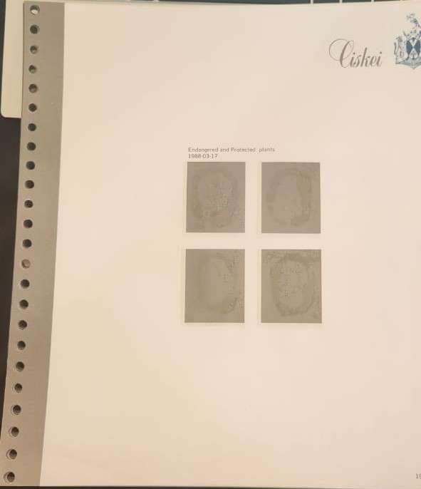 Stamp Collection Davo Pages Ciskei (Preprinted pages no stamps included)