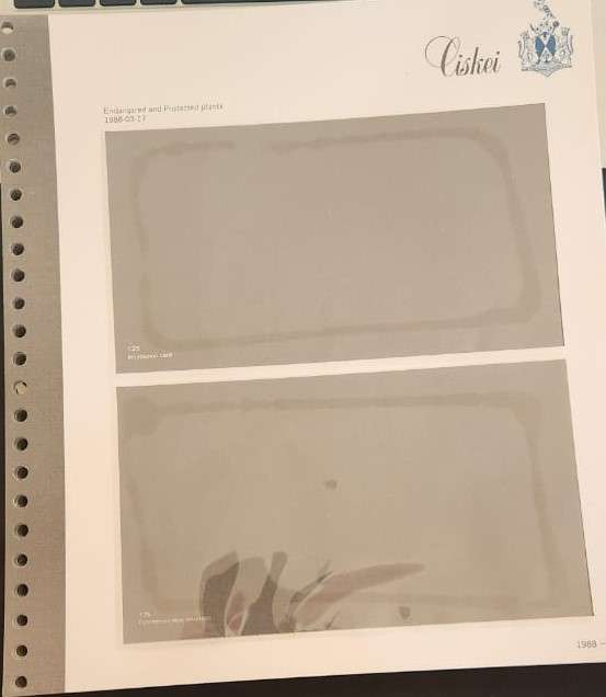 Stamp Collection Davo Pages Ciskei (Preprinted pages no stamps included)