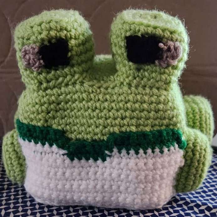 Crochet Plushie Minecraft Frog
