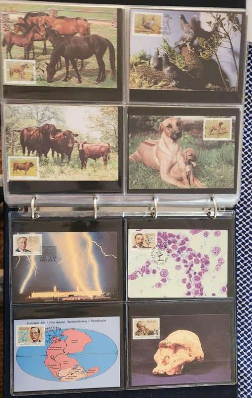 Maxi Cards Album Mixed RSA Collection