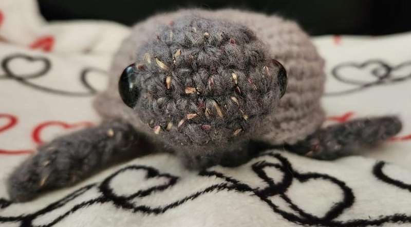 Crochet Plushie Turtle