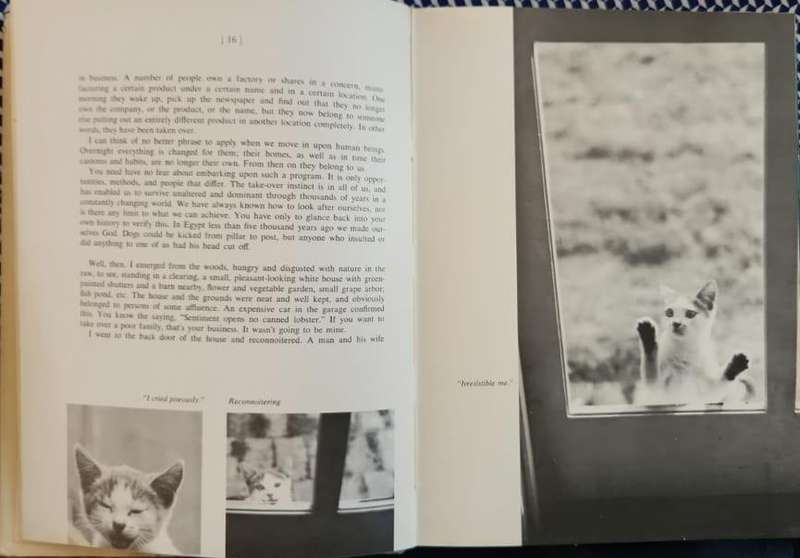 Book Hard Cover 159 Page Paul Gallico The Silent Miaow