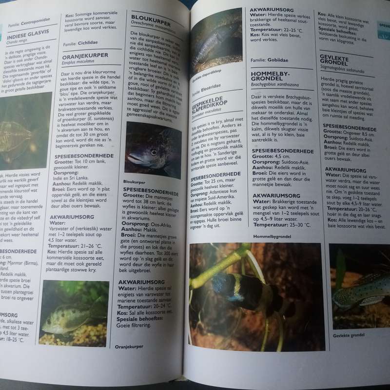 Tropiese Akwariumvisse" by John Dawes  Ultimate Guide to Tropical Aquarium Fish