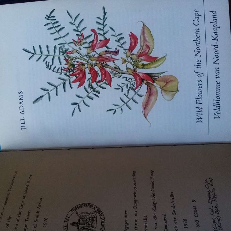Wild Flowers of the Northern Cape / Veldblomme van Noord-Kaapland - Adams, Jill