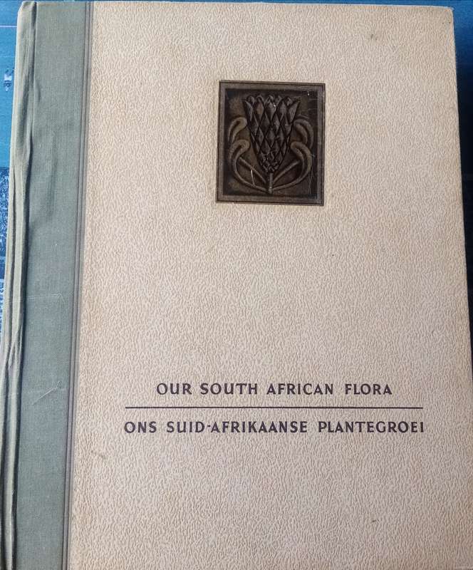 Our South African Flora" by R.H. Compton  Guide to South African Plant Life  Bilingual Edition
