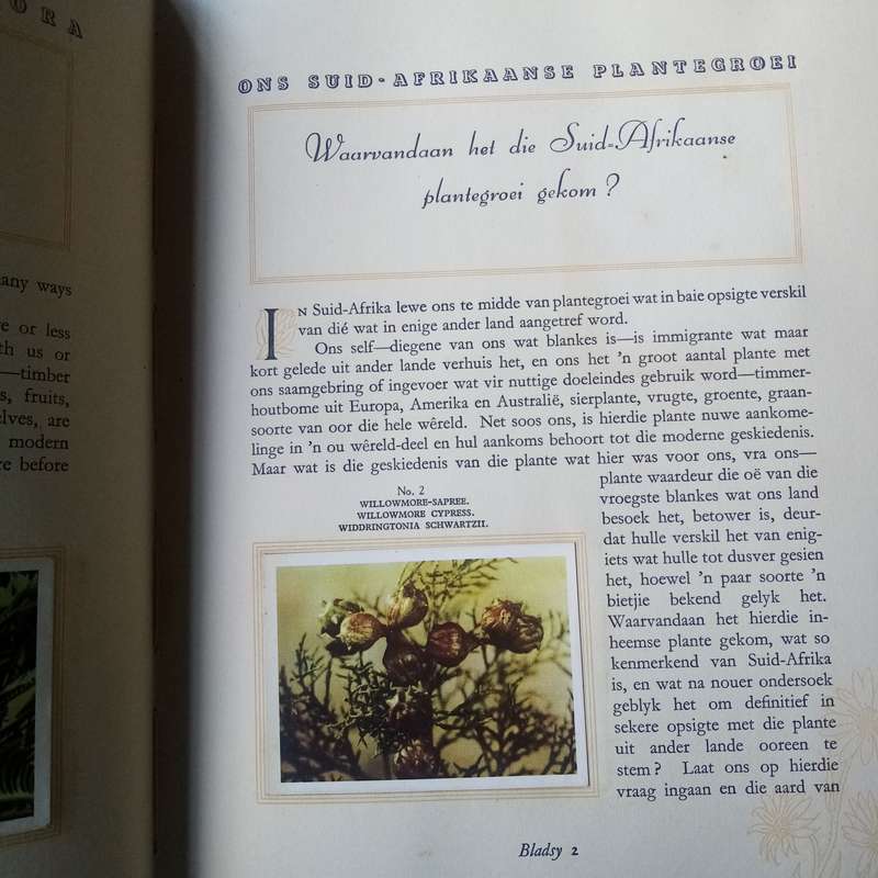 Our South African Flora" by R.H. Compton  Guide to South African Plant Life  Bilingual Edition