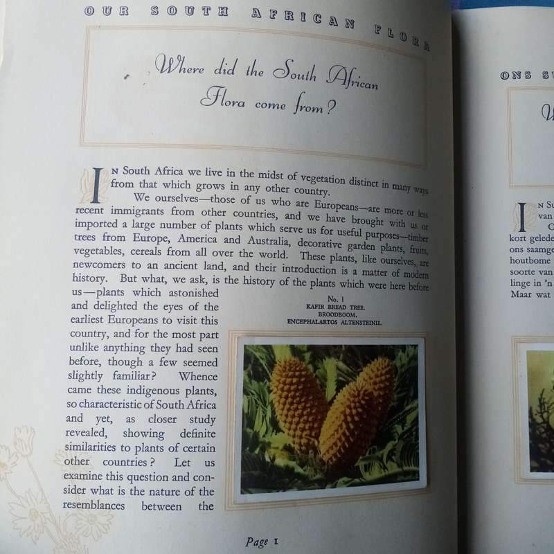 Our South African Flora" by R.H. Compton  Guide to South African Plant Life  Bilingual Edition