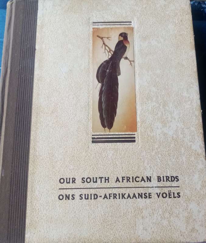 Our South African Birds  Ons Suid-Afrikaanse Voëls"  Comprehensive Guide with Stunning Illustratio