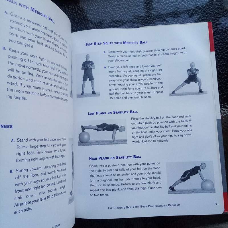 The Ultimate New York Body Plan by David Kirsch  Transformative Fitness & Wellness Guide