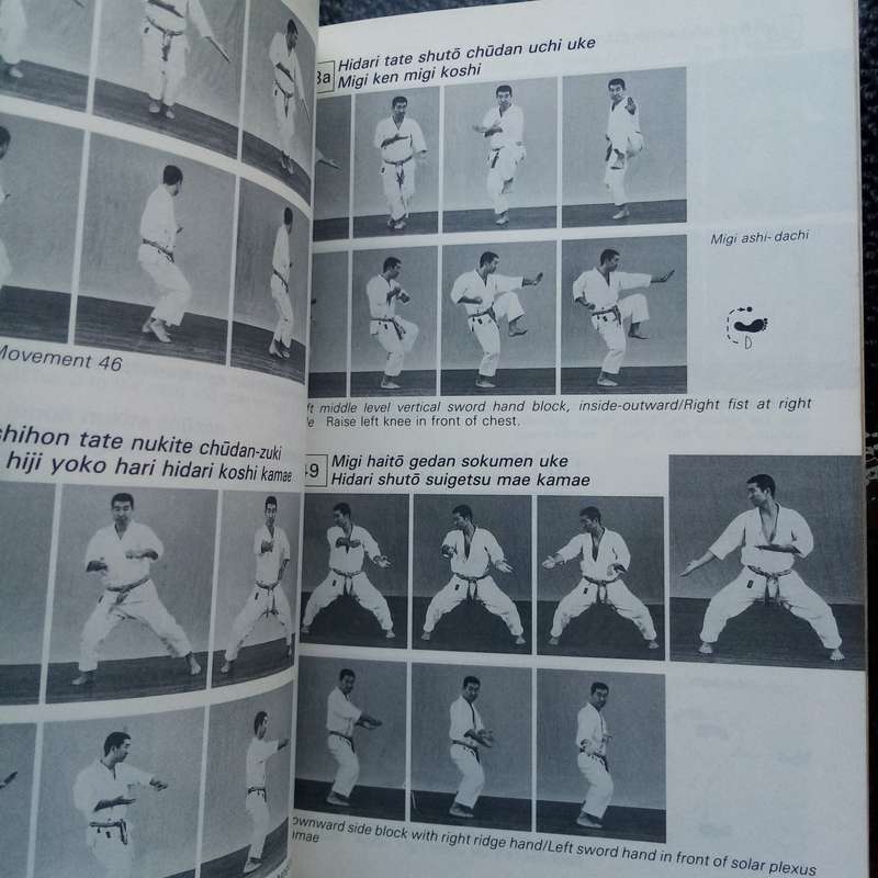 Best Karate, Vol. 11: Gojushiho Dai, Gojushiho Sho, Meikyo  Essential Training Guide for Karate