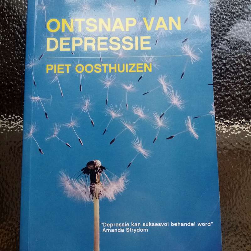 Ontsnap Van Depressie by Piet Oosthuizen  Essential Guide to Overcoming Depression & Finding Hope