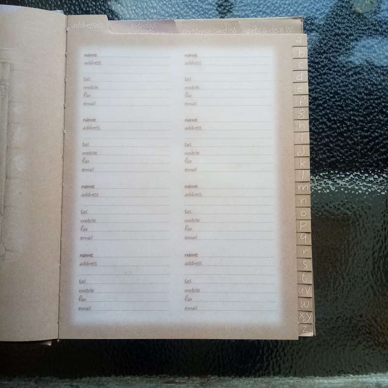 Bearly There: Friends and Family Organizer Book  A Charming & Practical Guide