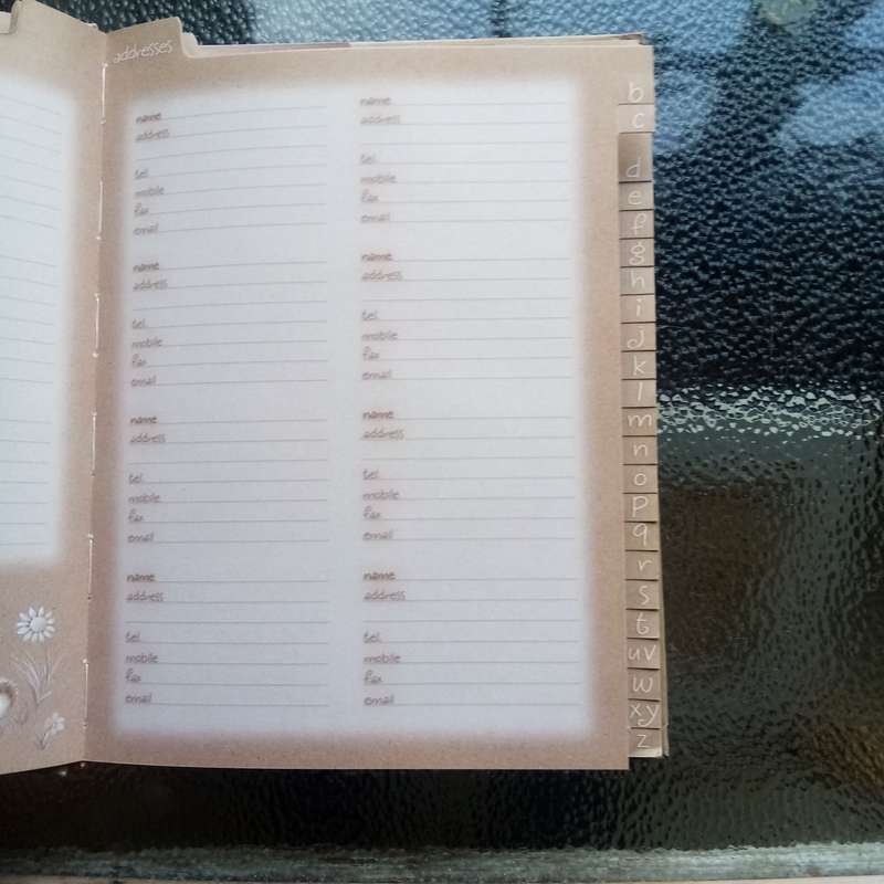 Bearly There: Friends and Family Organizer Book  A Charming & Practical Guide