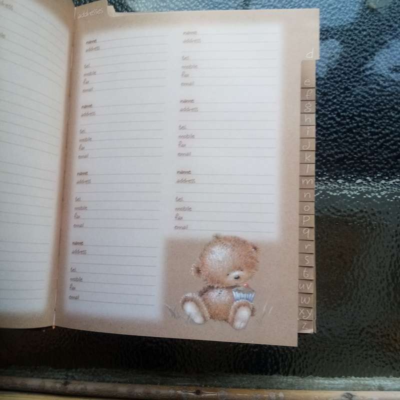 Bearly There: Friends and Family Organizer Book  A Charming & Practical Guide