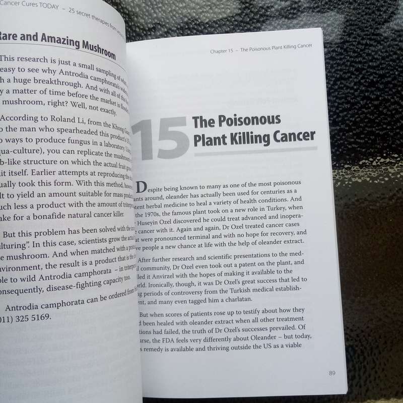 Tomorrow's Cancer Cures Today by Allan Spreen, M.D.  Cutting-Edge Insights into Cancer Prevention
