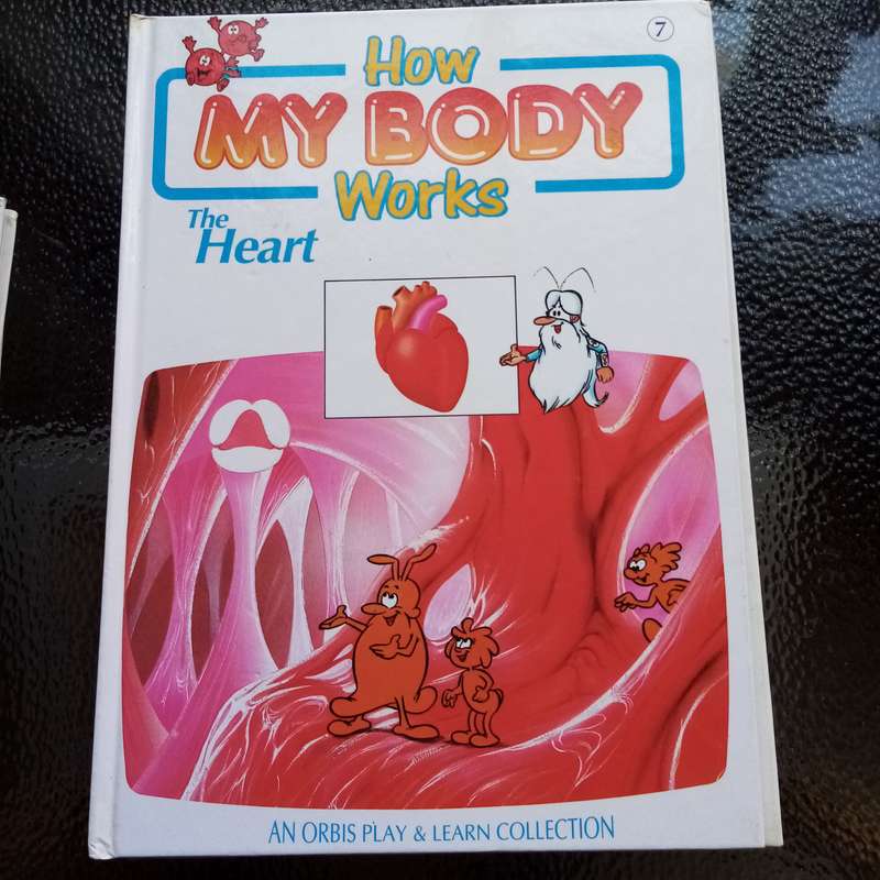 Explore Anatomy: "How My Body Works" Orbis Play & Learn Collection  7 Interactive Volumes for Kids