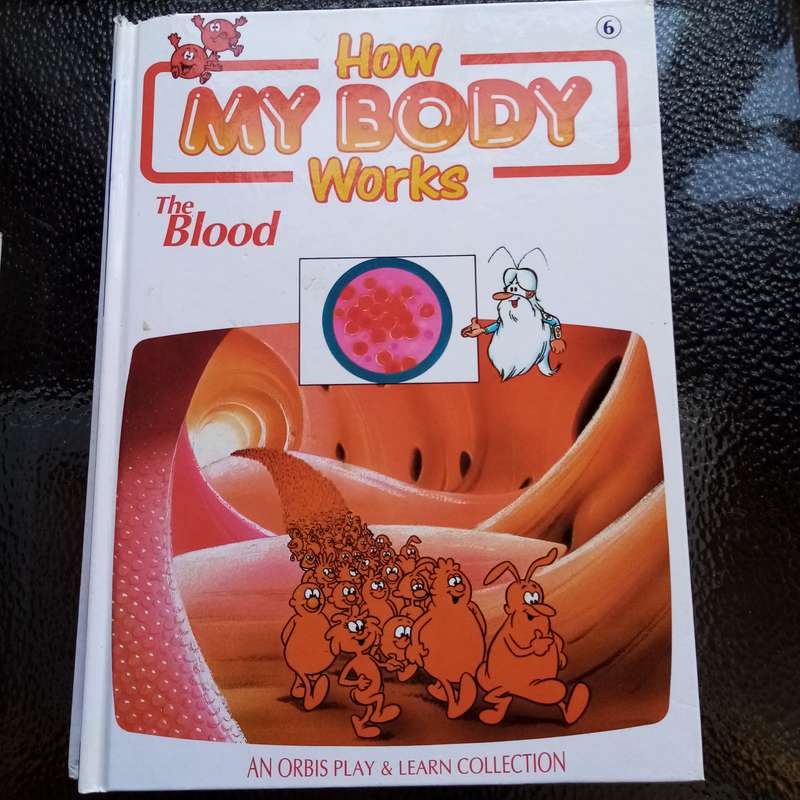 Explore Anatomy: "How My Body Works" Orbis Play & Learn Collection  7 Interactive Volumes for Kids