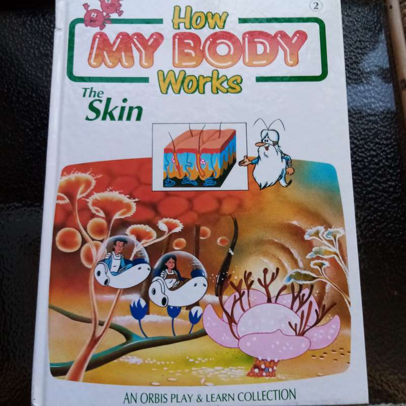 Explore Anatomy: "How My Body Works" Orbis Play & Learn Collection  7 Interactive Volumes for Kids