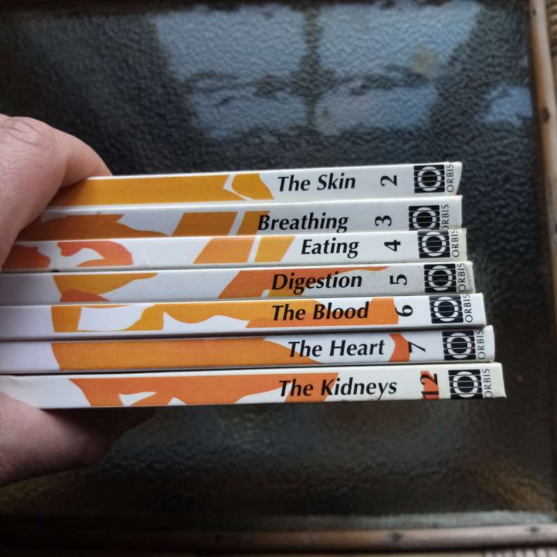 Explore Anatomy: "How My Body Works" Orbis Play & Learn Collection  7 Interactive Volumes for Kids