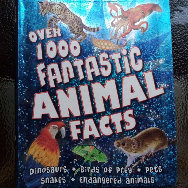 Over 1000 Fantastic Animal Facts - Amazing Wildlife Knowledge for Kids