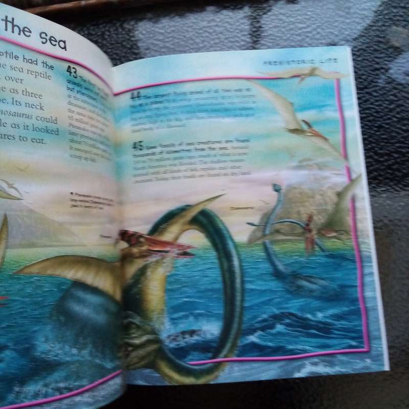 Over 1000 Fantastic Animal Facts - Amazing Wildlife Knowledge for Kids