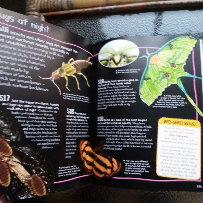 Over 1000 Fantastic Animal Facts - Amazing Wildlife Knowledge for Kids