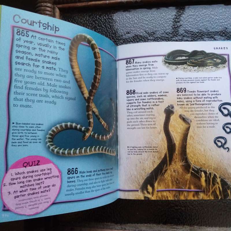 Over 1000 Fantastic Animal Facts - Amazing Wildlife Knowledge for Kids