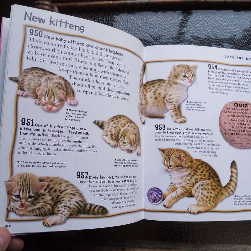 Over 1000 Fantastic Animal Facts - Amazing Wildlife Knowledge for Kids
