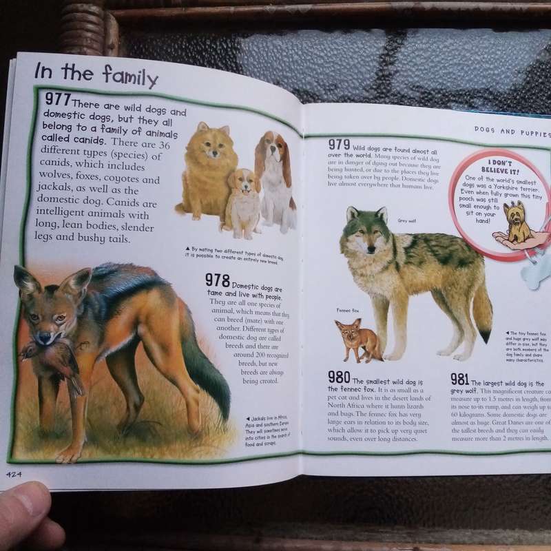 Over 1000 Fantastic Animal Facts - Amazing Wildlife Knowledge for Kids