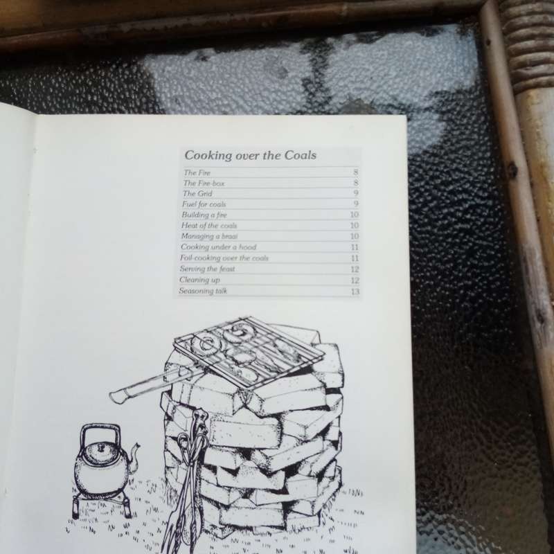 Braai in Style: The Complete South African Outdoor Cookbook by Lannice Snyman